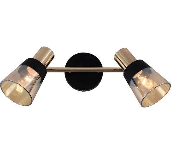 Настенно-потолочный светильник ESCADA E14*40W Black/Gold 684/2A