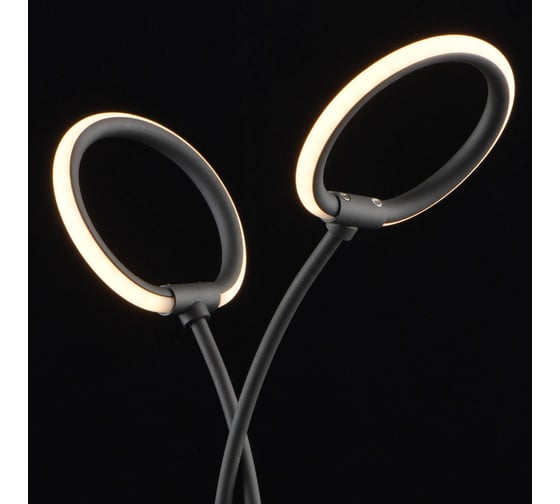 Настольная лампа De Markt Этингер 2*3W LED 220V 704031602