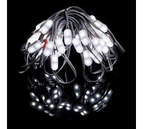 Светодиодный модуль MAKSILED 0.3Вт, 12В, IP65, SMD2835 2LED, 32лм, 8000К, 45 шт./гирлянда, ML-M2SS-2835-CW-LP