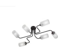 Люстра Vitaluce V4310-1/6PL