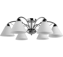 Потолочный светильник Arte Lamp A1298PL-6CC