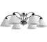 Потолочный светильник Arte Lamp A1298PL-6CC 1