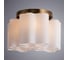 Потолочный светильник Arte Lamp A3459PL-3AB 3