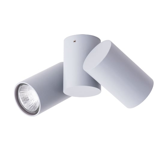 Потолочный светильник Arte Lamp A1511PL-2GY