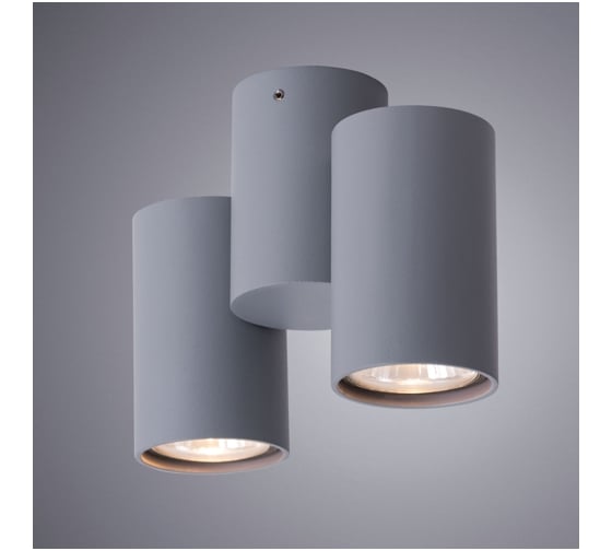 Потолочный светильник Arte Lamp A1511PL-2GY