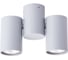 Потолочный светильник Arte Lamp A1511PL-2GY 1