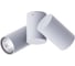 Потолочный светильник Arte Lamp A1511PL-2GY 2