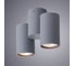 Потолочный светильник Arte Lamp A1511PL-2GY 3