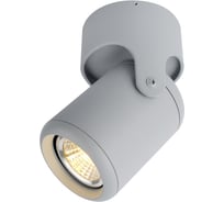Потолочный светильник Arte Lamp A3316PL-1GY