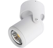 Потолочный светильник Arte Lamp A3316PL-1WH