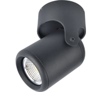 Потолочный светильник Arte Lamp A3316PL-1BK