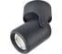 Потолочный светильник Arte Lamp A3316PL-1BK 1