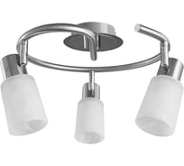 Потолочный светильник Arte Lamp A4510PL-3SS