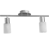 Потолочный светильник Arte Lamp A4510PL-2SS