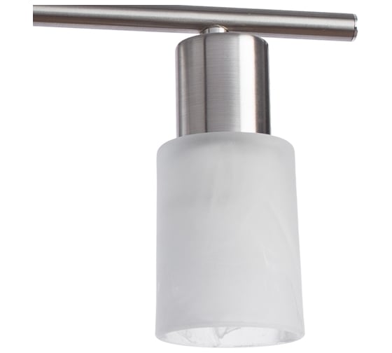 Потолочный светильник Arte Lamp A4510PL-2SS