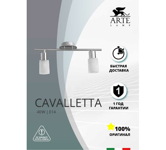 Потолочный светильник Arte Lamp A4510PL-2SS