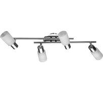 Потолочный светильник Arte Lamp CAVALLETTA  A4510PL-4SS