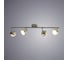 Потолочный светильник Arte Lamp A6009PL-4SS 2