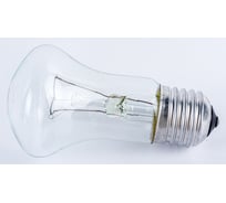 Лампа накаливания общего назначения Лисма Б 230-75-4 230В 75Вт Е27 304306613с