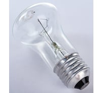 Лампа накаливания общего назначения Лисма Б 230-60-2 230В 60Вт Е27 303393614с