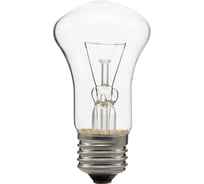 Лампа накаливания общего назначения Лисма Б 230-25-2 230В 25Вт Е27 301060514с