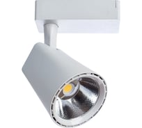 Потолочные светильники Arte Lamp A1821PL-1WH