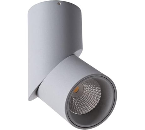 Потолочные светильники Arte Lamp A7717PL-1GY