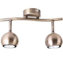 Потолочные светильники Arte Lamp A6253PL-2AB