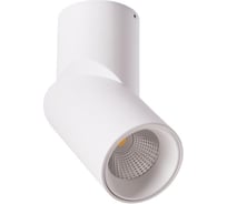 Потолочные светильники Arte Lamp A7717PL-1WH