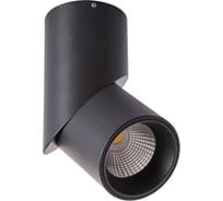 Потолочные светильники Arte Lamp A7717PL-1BK