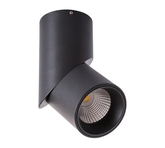 Потолочные светильники Arte Lamp A7717PL-1BK