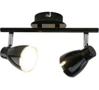 Потолочные светильники Arte Lamp A6008PL-2BK