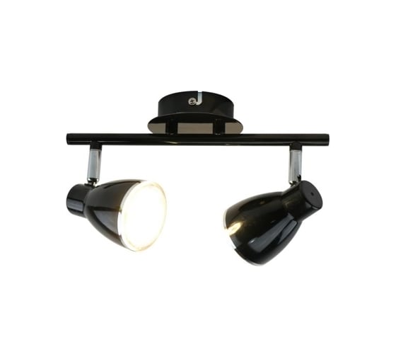 Потолочные светильники Arte Lamp A6008PL-2BK