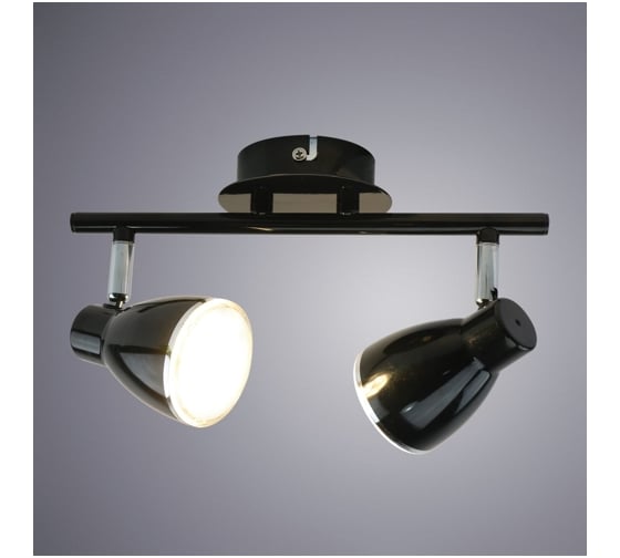 Потолочные светильники Arte Lamp A6008PL-2BK