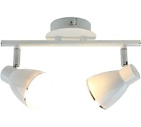 Потолочные светильники Arte Lamp A6008PL-2WH