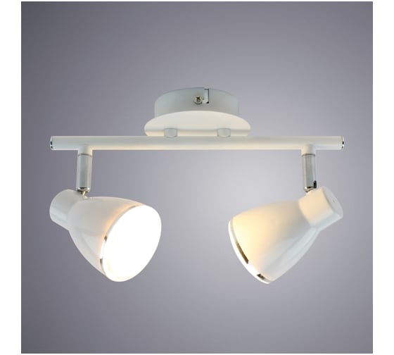 Потолочные светильники Arte Lamp A6008PL-2WH
