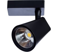 Потолочные светильники Arte Lamp A1830PL-1BK