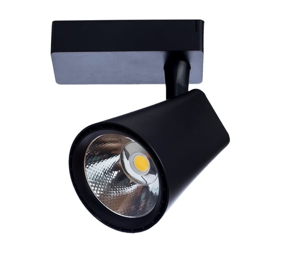 Потолочные светильники Arte Lamp A1830PL-1BK