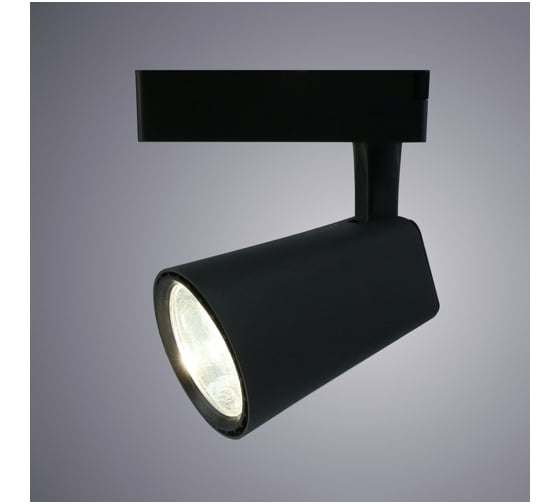 Потолочные светильники Arte Lamp A1830PL-1BK