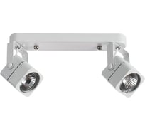 Потолочные светильники Arte Lamp A1314PL-2WH