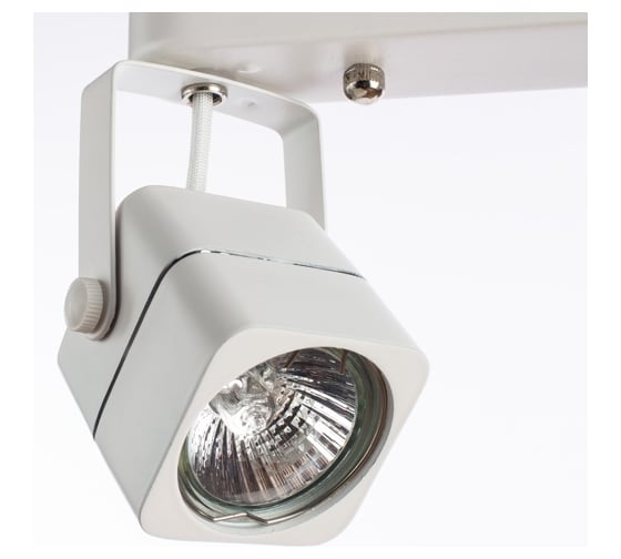 Потолочные светильники Arte Lamp A1314PL-2WH