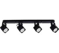 Потолочные светильники Arte Lamp A1314PL-4BK