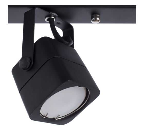 Потолочные светильники Arte Lamp A1314PL-4BK