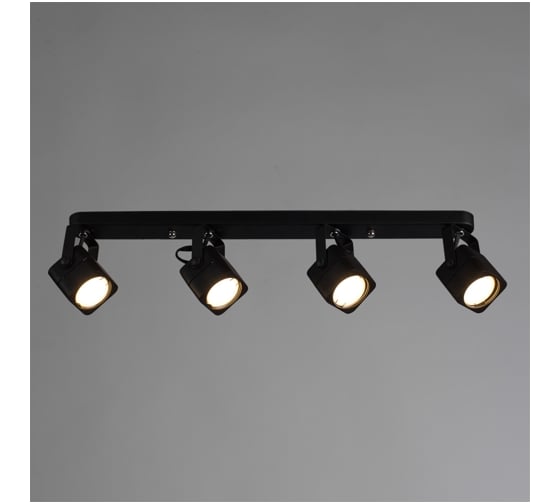 Потолочные светильники Arte Lamp A1314PL-4BK