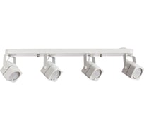 Потолочные светильники Arte Lamp A1314PL-4WH
