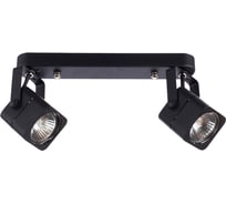 Потолочные светильники Arte Lamp A1314PL-2BK