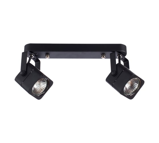 Потолочные светильники Arte Lamp A1314PL-2BK