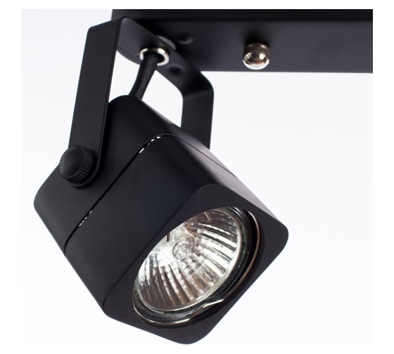 Потолочные светильники Arte Lamp A1314PL-2BK