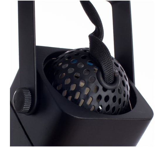 Потолочные светильники Arte Lamp A1314PL-2BK