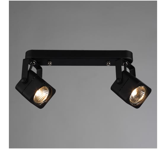 Потолочные светильники Arte Lamp A1314PL-2BK